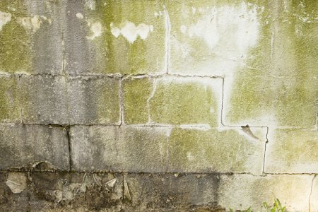  Mold on Basement Walls