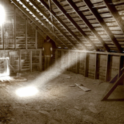 Unfinished Attic Space