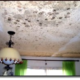 Ceiling Covered With Mold Ceiling Covered With Mold